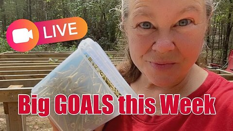 BIG GOALS, Tiny House that Grandma Built, Single Woman Builds, Tiny Cabin, in the Woods, LiveStream