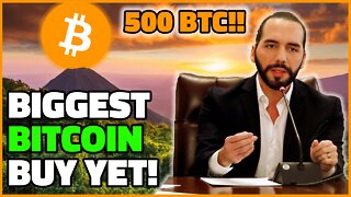 El Salvador's BIGGEST Bitcoin Purchase - President Bukele BUYS 500 BITCOIN !