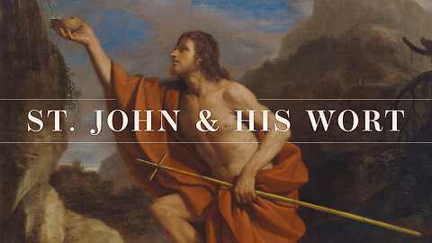 St. John and His Wort - The Healing Home - Ep. 79