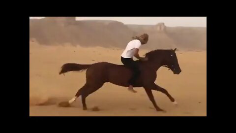 Arabian Horse Galloping In Desert || Full Gallop|| Full Speed