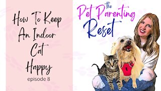 How To Keep An Indoor Cat Happy | The Pet Parenting Reset episode 8