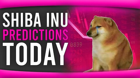 SHIBA INU COIN UPDATE