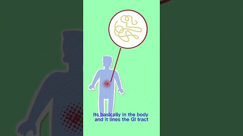 What is immunoglobulin G and why is it in Give Me Back My Youth? Watch the Root U episode, live now!