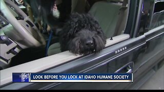 Idaho Humane Society's Look Before You Lock campaign begins today