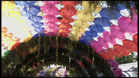 The Parachute Corridor at Dubai Miracle Garden