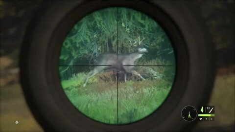 theHunter: Call of the Wild Chapter 82! Roosevelt Elk and White-Blacktail Deer and BlackBear!