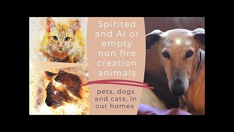 Spirited and AI or empty non original creation animals: pets, dogs and cats, in our homes