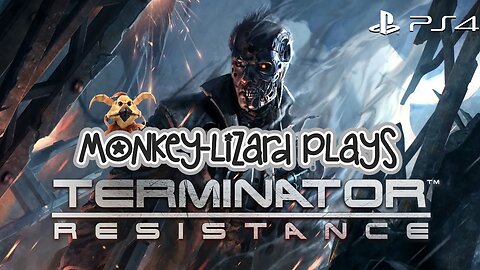 MoNKeY-LiZaRD plays Terminator Resistance