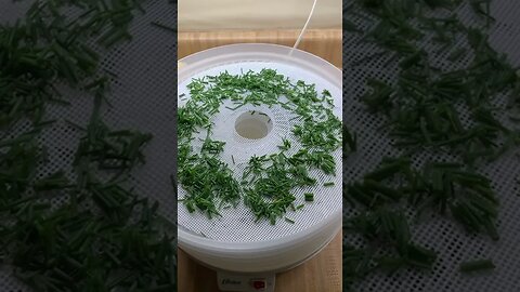 Drying More Herbs For My Preps