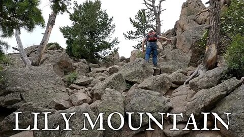 Lily Mountain - Roosevelt National Forest