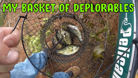 My Basket Of Deplorables