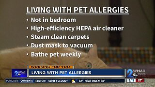 Living With Pet Allergies