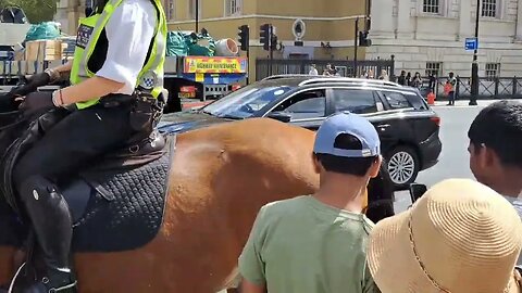 Mounted police telling tourist to move OK we will move you lol #horseguardsparade