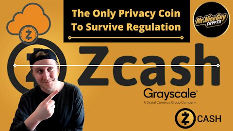 ZCash (ZEC) - The Only Privacy Coin To Survive Regulation