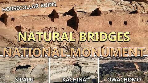 Natural Bridges National Monument [Grand Overlooks Tour] - Utah