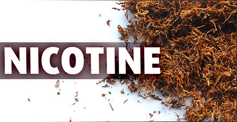 How Long Does Nicotine Stay In Your System | Digitalized Monks