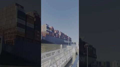 A Fun "Short" Video | Container Ship Savannah, Ga. | Nov. 2021 || #Shorts