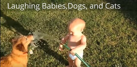 DOG LOVES BABY SHOWER | LAUGHING BABIES DOGS AND CAT