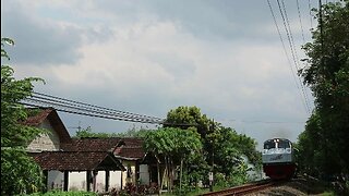 Kereta Api BRANTAS Lokomotif CC 203 95 11 DIPO INDUK MN Melintas Desa Ketanon Tulungagung