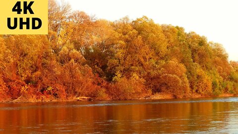 САМАЯ КРАСИВАЯ МУЗЫКА. ОЧЕНЬ ЛЕГКАЯ. РЕЛАКС! Такого Вы Еще Не слышали! Покорят Вас До Глубины Души