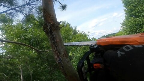 Topping a Quad Pine - First climb since the accident (PT 3)