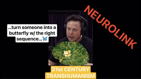 Elon Musk / Neurolink / Synthetic RNA