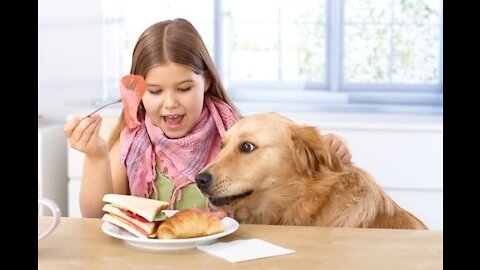 Clever Dog caught on Camera stealing food for another Dog