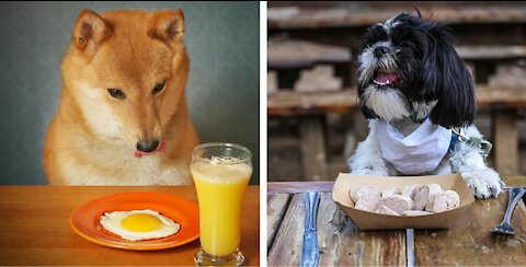 Shelter dogs are thankful for this delicious Thanksgiving treat