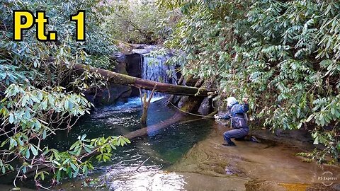 Trout Fishing the most INCREDIBLE water I've ever seen!! || North Georgia Trout Pt. 1