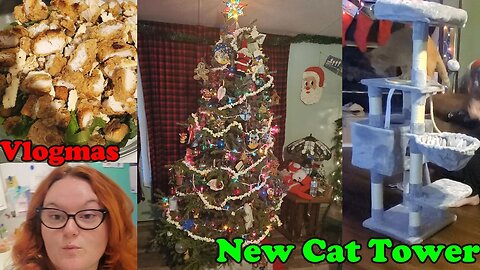 New Cat Tower | Vlogmas | Sock Advent | Christmas gift prep | Family of 5