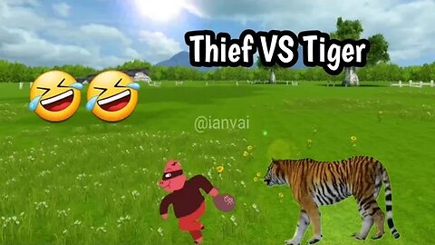 Thief vs Tiger: Hilarious Cage Break-in Fail