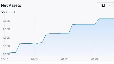 New Challenge + How is the portfolio doing? | Selling Options | Dividend investing | 8/14/2023