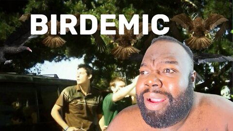 Birdemic Commentary