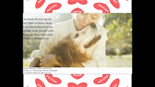 Animals do not speak, but their actions show how much love us! [Quotes and Poems]