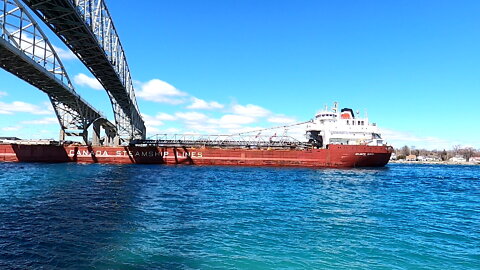 Atlantic Huron Cargo Bulk Carrier Ship