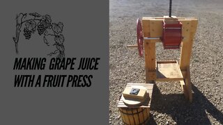 Making grape juice with a fruit press