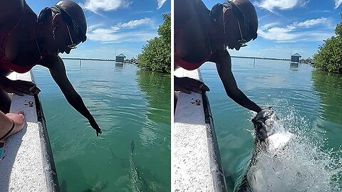 Adventurous Girl Has Thrilling Close Encounter With Tarpon