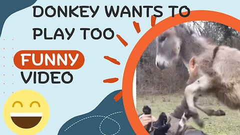 Donkey wants to play too - Funny Video