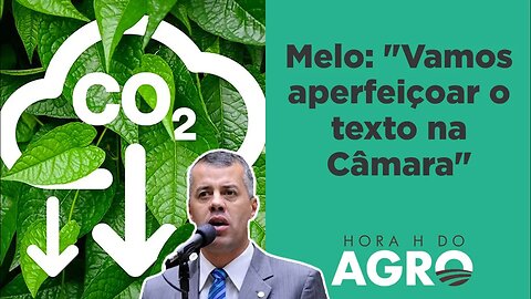 Mercado de carbono: entenda os prós e os contras da proposta aprovada nesta seamana | HORA H DO AGRO