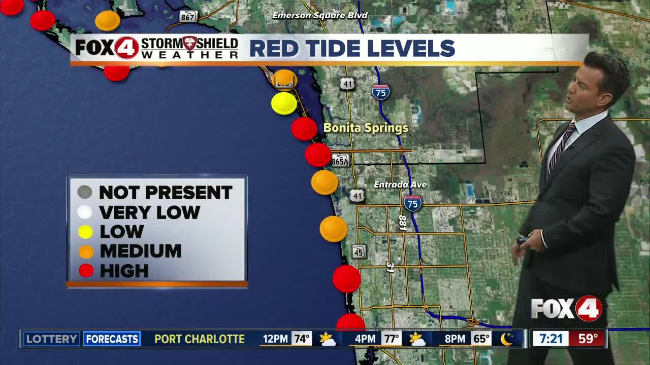 Beach Hazards Statement Issued For Our Beaches