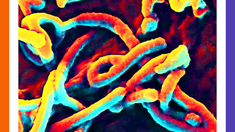 Ebola Hits Uganda