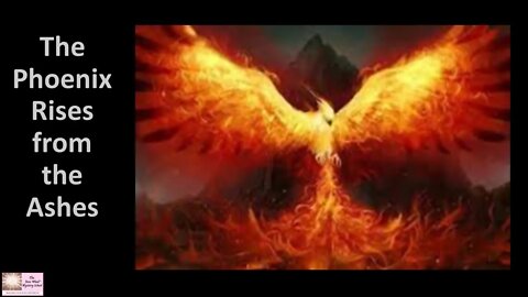 The Phoenix Rises From the Ashes