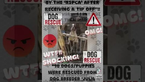 🔎 “90 PUPPIES/DOGS RESCUED FROM DOG BREEDER ‘JULIE NEWCOMBS’ HOUSE IN WALES BY RSPCA”!! SHOCKING!!