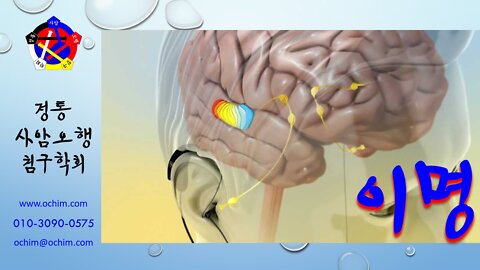 이명, 비염, 통증 등 동시 치료 방법 및 사례 - 비과학적 양의학 166 - 사암침, 사암침법