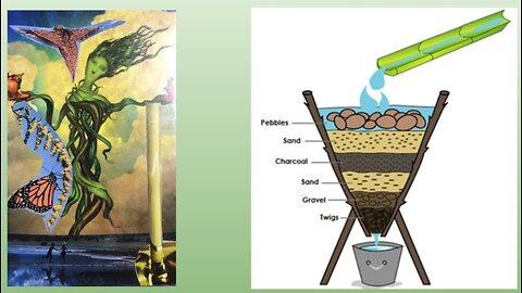 Personal Alkemy Plant Medicine Composting Alkemy and Amaranth Awesome