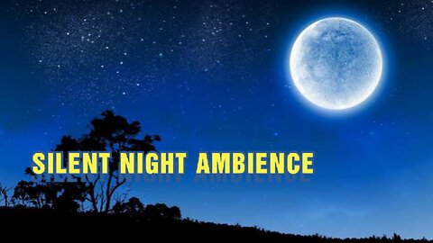 Silent Night Bliss: Enchanting Ambience for Deep Relaxation