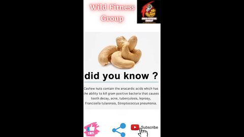 🔥Did you know about cashew nuts🔥#fitness🔥#wildfitnessgroup🔥#shorts🔥