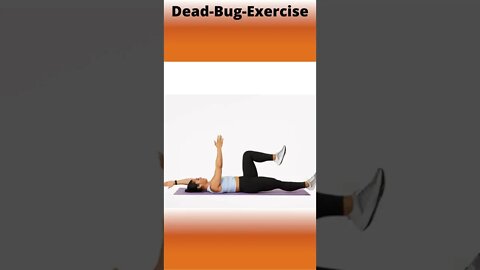 Dead-Bug-Exercise | How to Dead Bug Exercise | Dead Bug Exercise Beginner #healthfitdunya