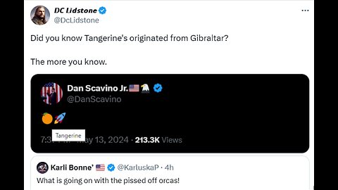 @KarluskaP What is going on with the pissed off orcas! 𝘿𝘾 𝙇𝙞𝙙𝙨𝙩𝙤𝙣𝙚 Did you know...