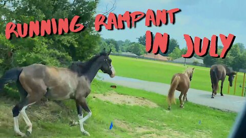 Running Rampant in July! - RV New Adventures